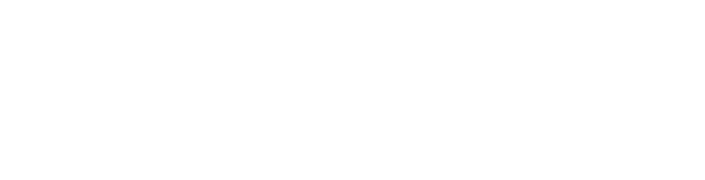 s8a55